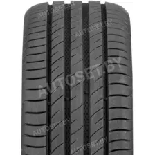 Delinte DS2 245/45R19 102 Y
