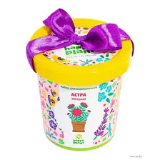 Набор для выращивания растений Happy Plant Астра звездная / hpn-6