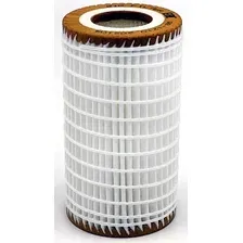 Масляный фильтр BIG Filter Вставки GB-1210