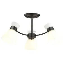 Припотолочная люстра Lumion Wilma 4534/3C