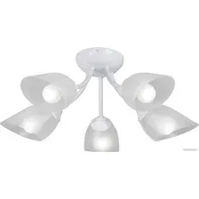Люстра средней высоты Vitaluce V3405-0/5PL