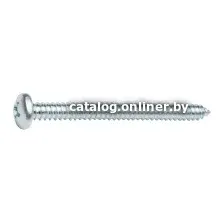 Шуруп Starfix SMC1-30276-1000