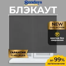 Рулонная штора Sundays Home LM 167-07 100х160 (темно-серый)