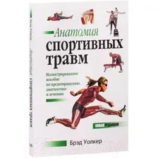 Анатомия спортивных травм