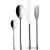 Набор столовых приборов Villeroy & Boch Udine 12-6347-9050
