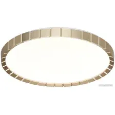 Припотолочная люстра Sonex Pale 7648/DL