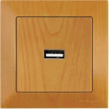Розетка USB Mutlusan Daria 2120 448 0158