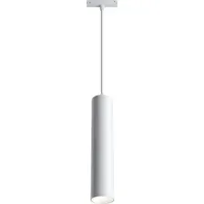 Подвесная люстра Maytoni TR016-2-12W4K-W