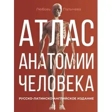 Книга АСТ Атлас анатомии человека. Русско-латинско-английское издание (9785171600334 Палычева Любовь)