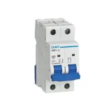 Автоматический выключатель NB1-63 2P 10A 6kA х-ка C (DB) (R)