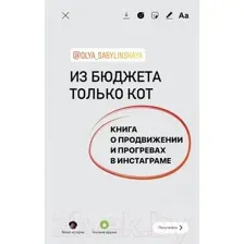Книга АСТ Из бюджета только кот (Сабылинская О.)