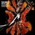 Виниловая пластинка Blackened Metallica - S&M2