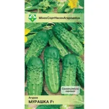 Огурцы Мурашка F1 7шт