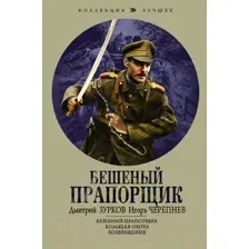 Художественная книга АСТ Бешеный прапорщик (Зурков Д.А., Черепнев И.А.)