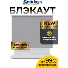Рулонные шторы Sundays Home LM 168-07 100x160 (серый)