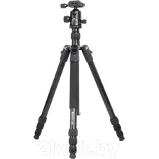 Трипод Raylab Pro 75 (с головой)
