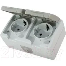 Розетка TDM Electric Вуокса SQ1803-0008