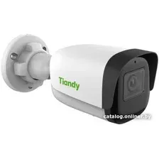 IP-камера Tiandy TC-C32WN I5/E/Y/2.8mm/V4.1