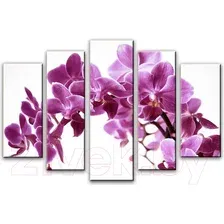 Модульная картина Arthata 5m-155 130x80