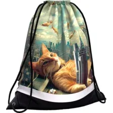 Мешок для обуви Erich Krause Big City Cats 62844