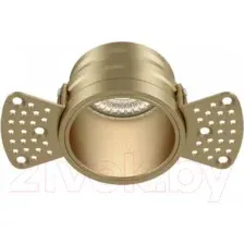 Точечный светильник Maytoni Reif DL048-01MG