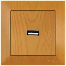 Розетка USB Mutlusan Daria 2120 448 0158