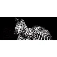 Картина на стекле Stamprint Две зебры AN013 (50x125)