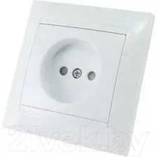 Розетка TDM Лама SQ1815-0010 (белый)
