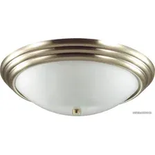 Припотолочная люстра Lumion Kayla 5262/3C