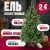 Ель Winter Fun Drop SP2232-240 (240см)