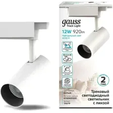 Трековый светильник Gauss TR079