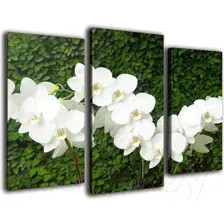 Картина модульная Arthata m-000300 (75x50)