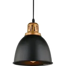 Светильник Arte Lamp Eurica A4245SP-1BK