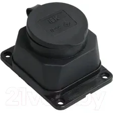 Розетка IEK PKR11-016-2-K02