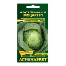 Семена Агромаркет Капуста белокочанная Моцарт F1 (15шт)