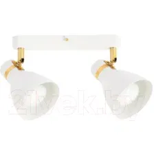 Спот Arte Lamp Fafnir A5047PL-2WH