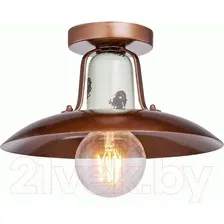 Потолочный светильник Lussole Loft Vermilion GRLSP-8162
