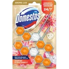 Средство для унитаза Domestos Power 5 Экзотический букет Дуо 2x50 г
