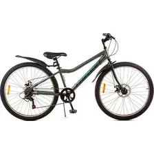 Велосипед FAVORIT Sirius-26MDS / SIR26MD13GR (разобранный, в коробке)