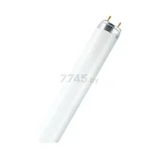 Люминесцентная лампа Osram G13 36Вт 4000 К