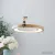 Подвесная люстра Home Light D259-2