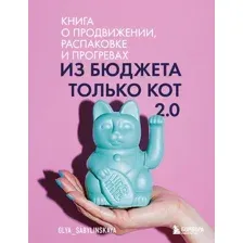 Нехудожественная книга Бомбора Из бюджета только кот 2.0, мягкая обложка (Сабылинская Ольга)