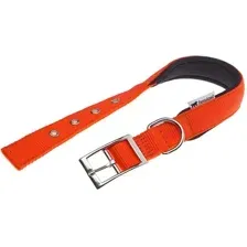 Ошейник Ferplast Daytona C25/45 75248939 (оранжевый)