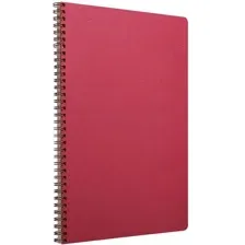 Блокнот Clairefontaine AgeBag 781420C (красный)