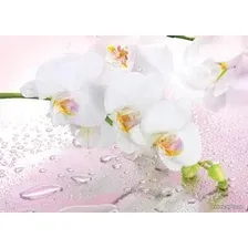 Фотообои Твоя планета Люкс Розовый мираж
