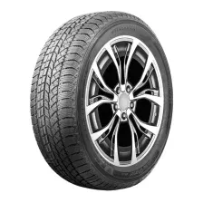 Зимняя шина Centara Winter RX621 255/45R19 100H