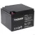 Аккумулятор для ИБП Thomas GB 12-65 Ah 12V65Ah