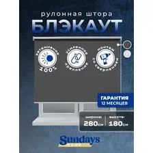 Рулонные шторы Sundays Home LM 167-07 280х180 (темно-серый)