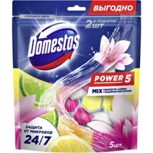 Средство для унитаза Domestos Power 5 Свежесть лайма+Ледяная магнолия (2x50г+3x50г)