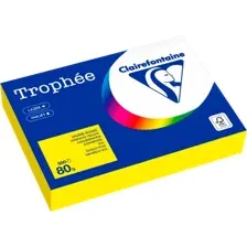Бумага Clairefontaine А4 80г/м2 / 1877C (500л, ярко-желтый)